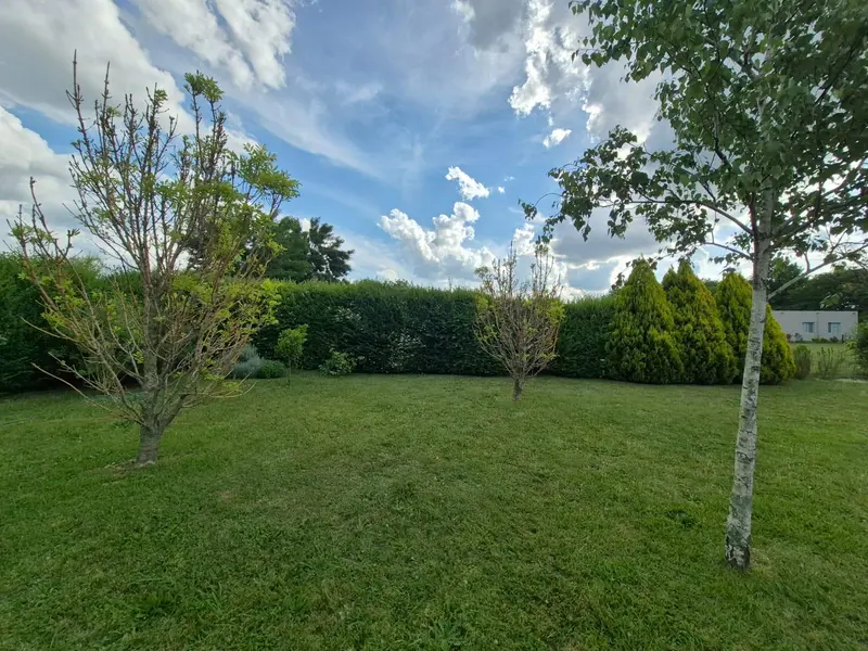 Foto 52