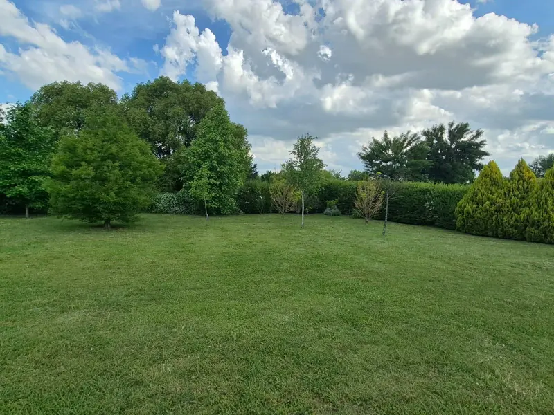Foto 51