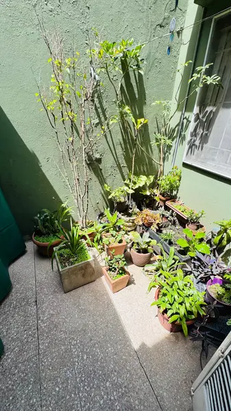 Foto 21