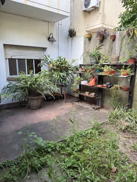 Foto 13