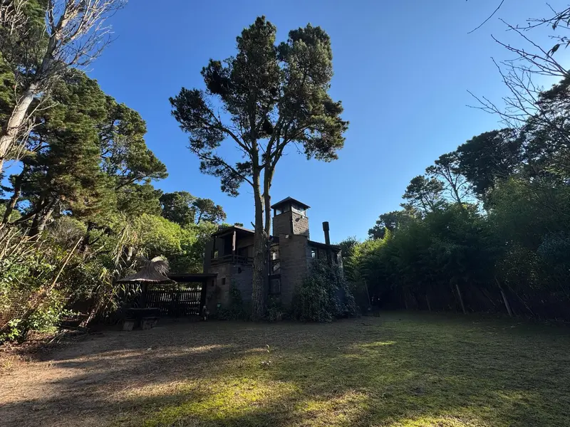 Foto 41