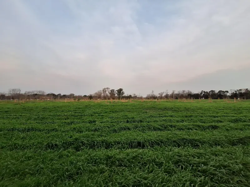 Terreno en venta · Escobar, GBA Norte, Provincia de Buenos Aires