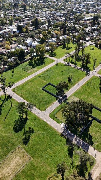 DJI_20260429131827_0033_D.JPG