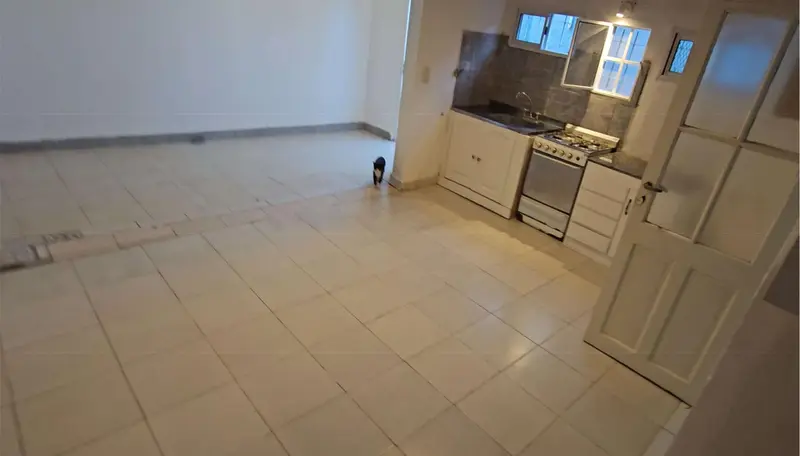 Foto 11