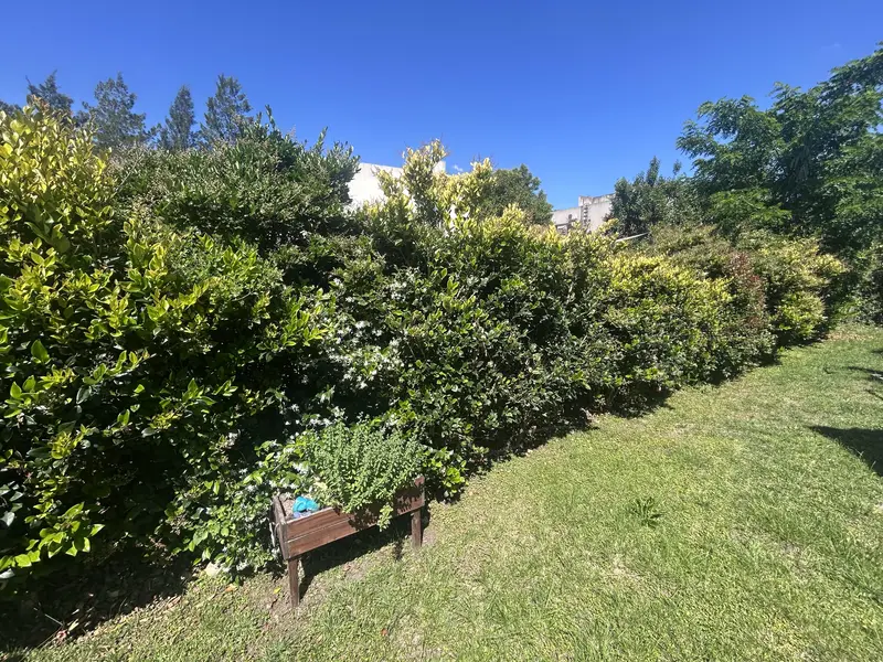 Foto 21