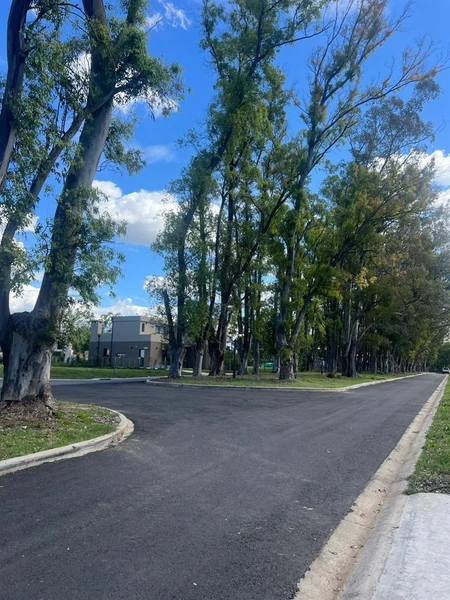 Foto 14