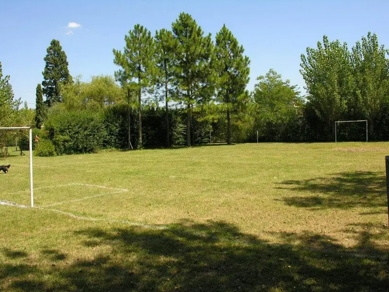 Foto 11