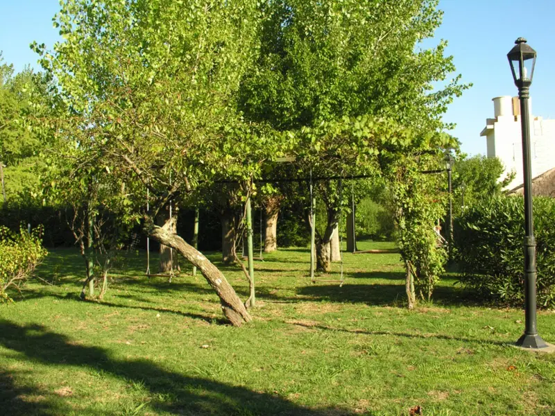 Foto 10