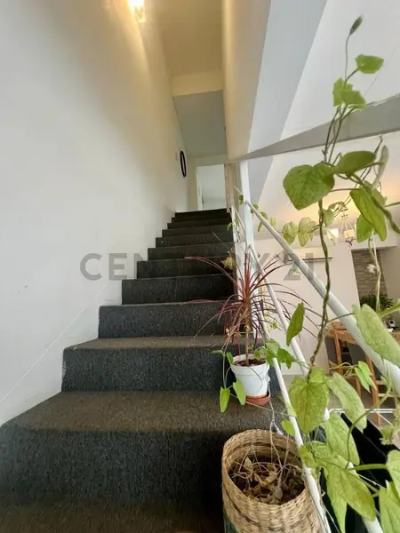 Foto 19