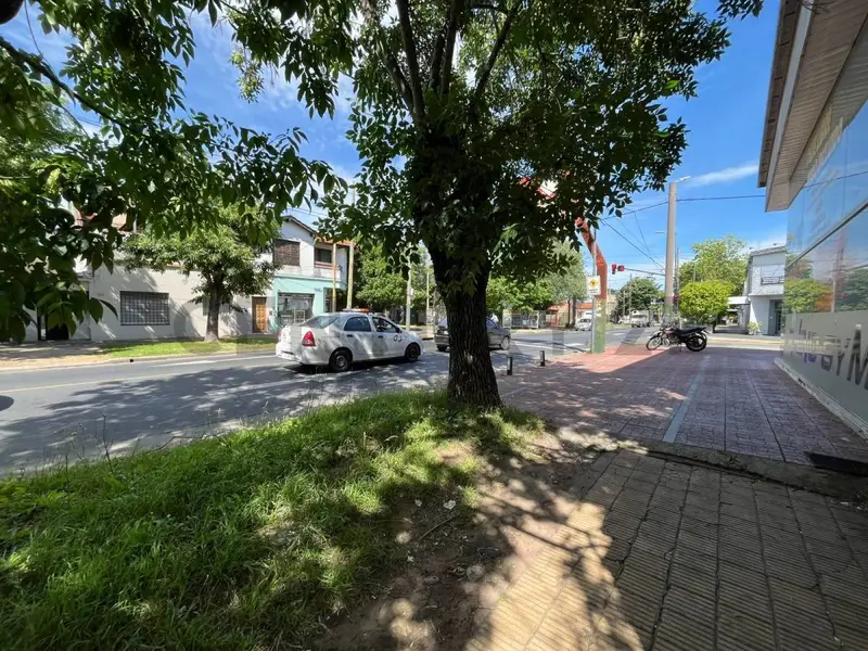 Foto 12