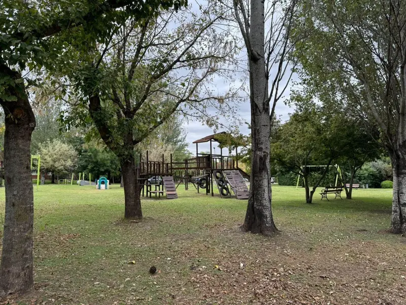 Foto 19