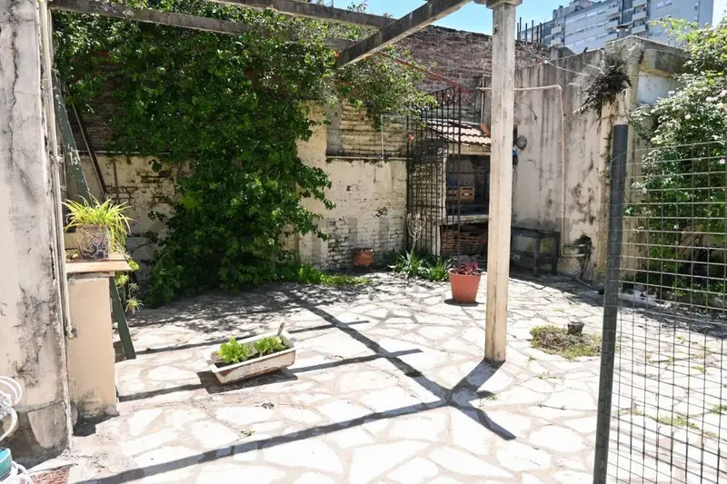 Foto 15