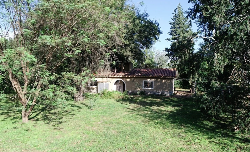 Foto 11