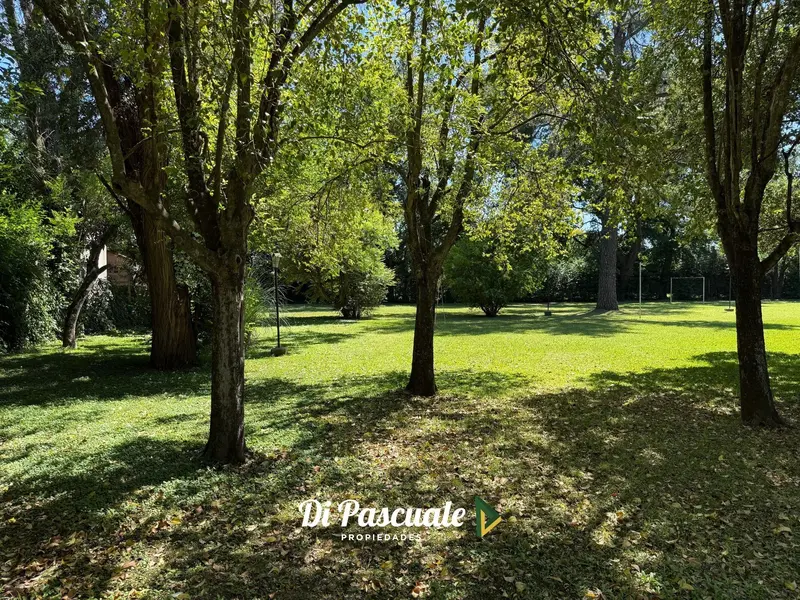 Foto 21