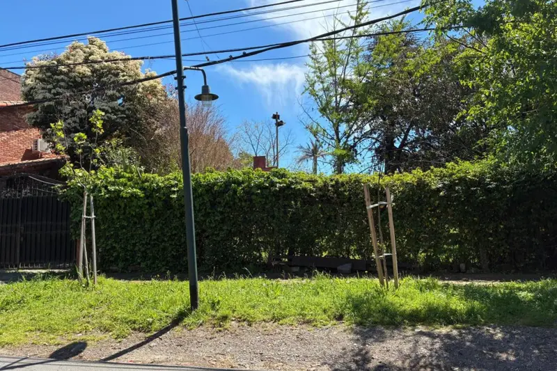 Foto 7