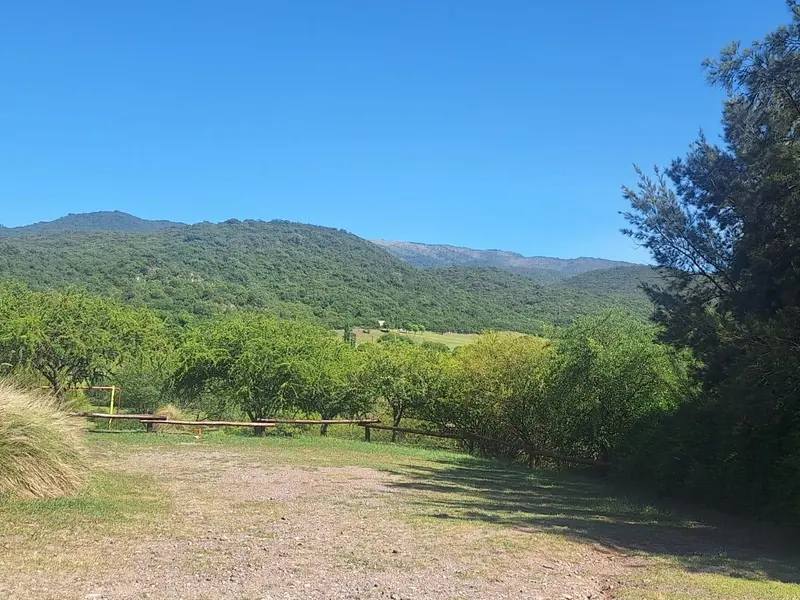 Foto 12