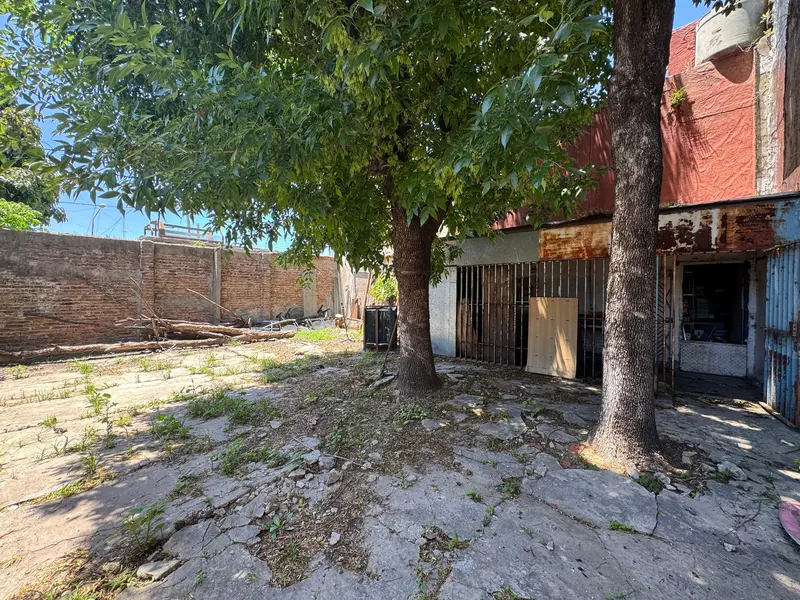 Foto 15