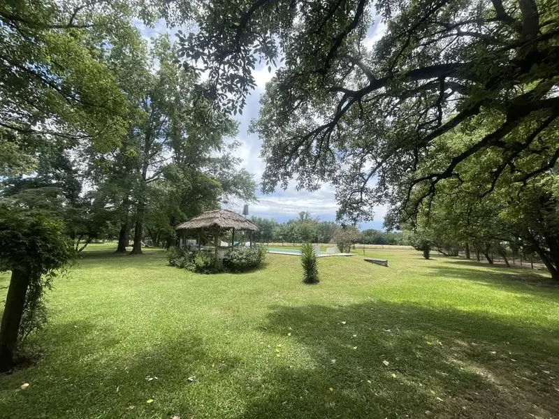 Foto 42