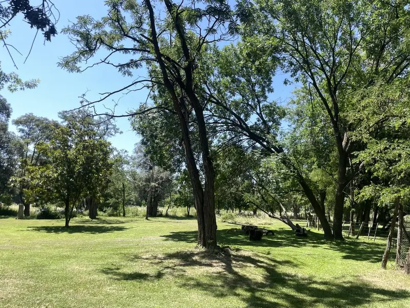 Foto 41