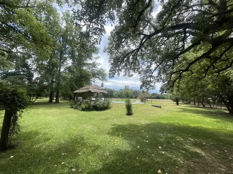 Foto 15