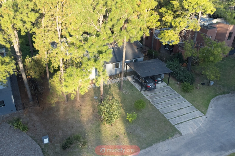 DJI_0310.jpg