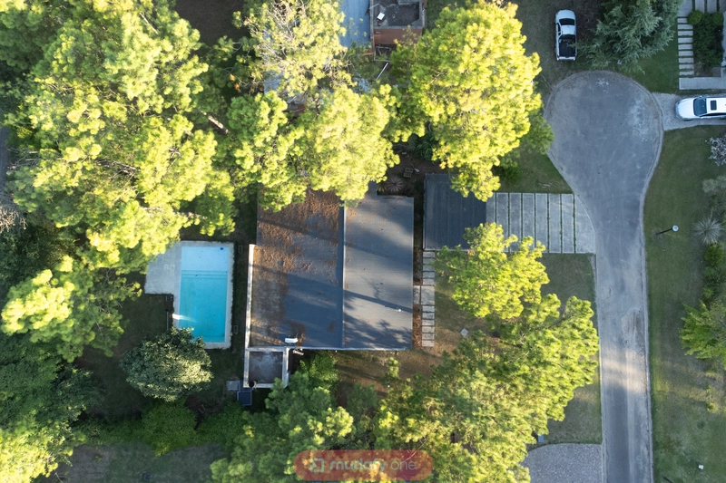 DJI_0313.jpg