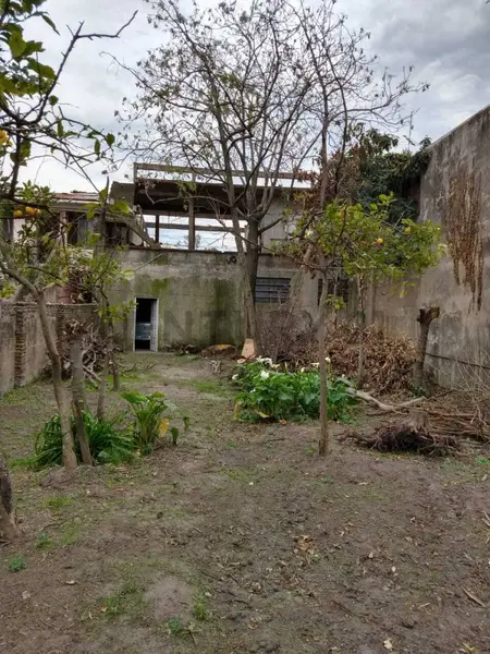 Foto 3