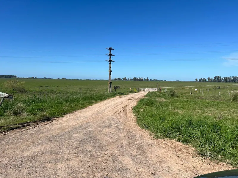 Foto 10