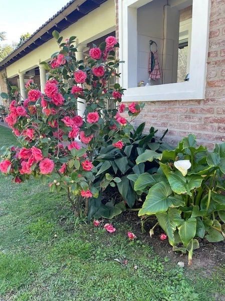 Foto 17