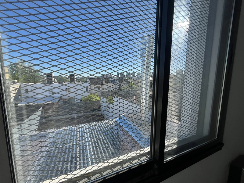 IMG_6403.JPEG