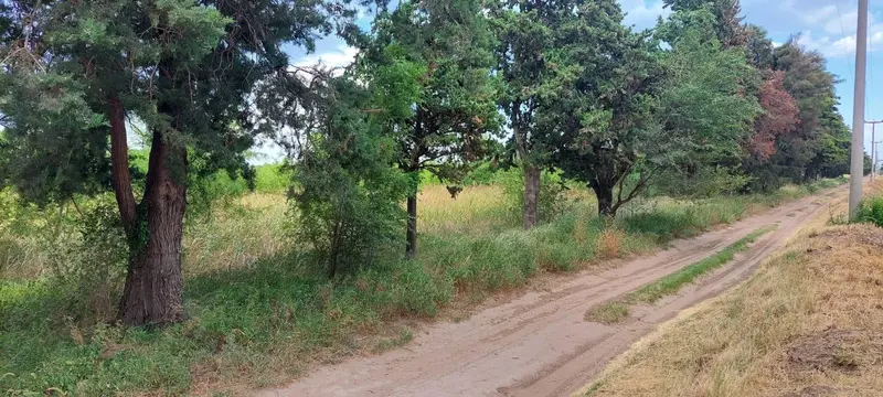Terreno en venta · Huinca Renanco, General Roca, Córdoba
