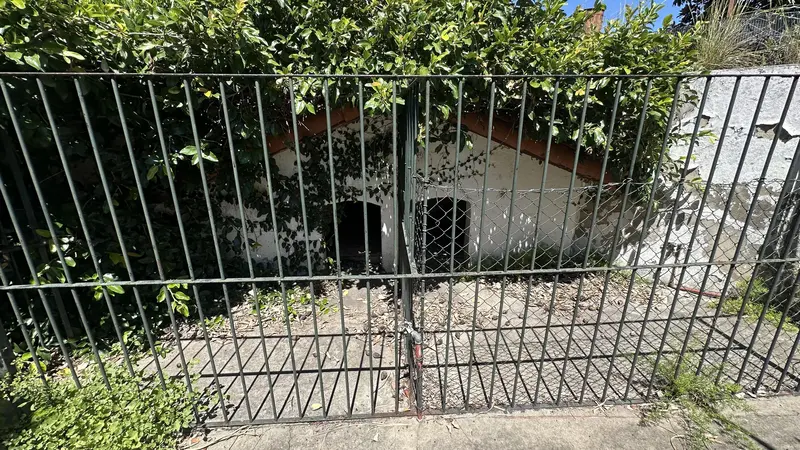Foto 54