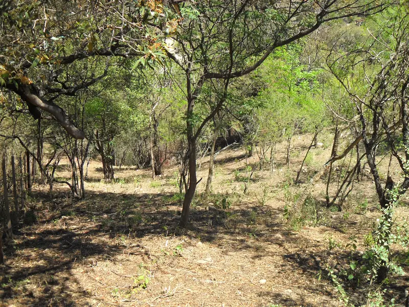 Terreno en venta · Cuesta Blanca, Punilla, Córdoba