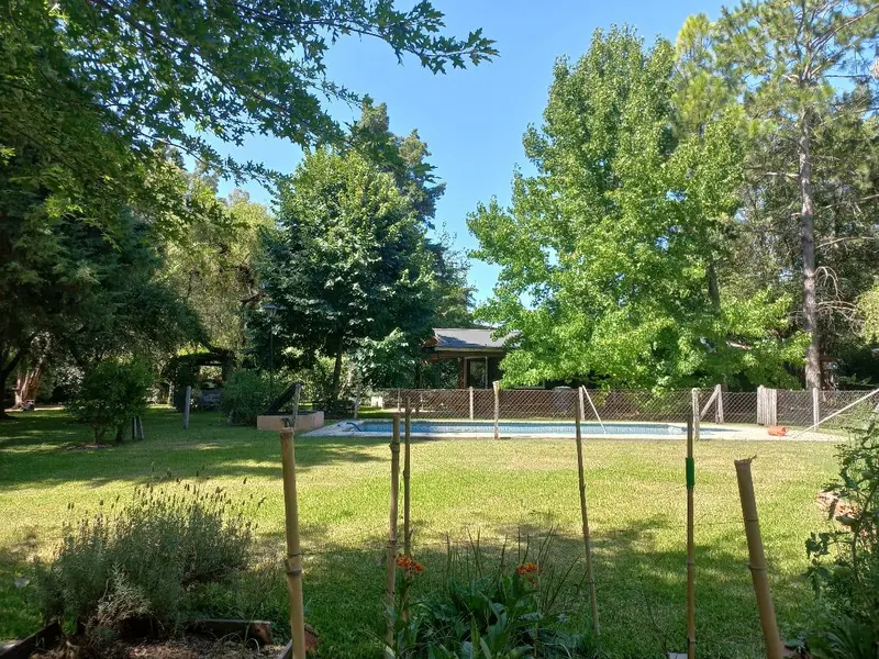 Foto 19