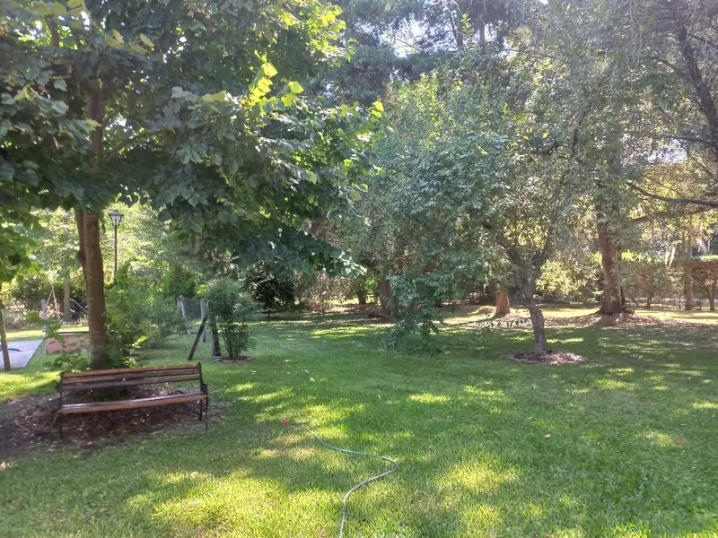 Foto 11