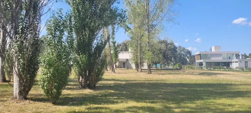 Foto 41