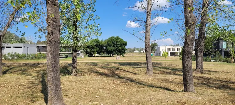 Foto 15