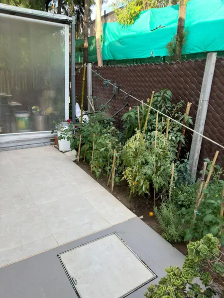 Foto 53
