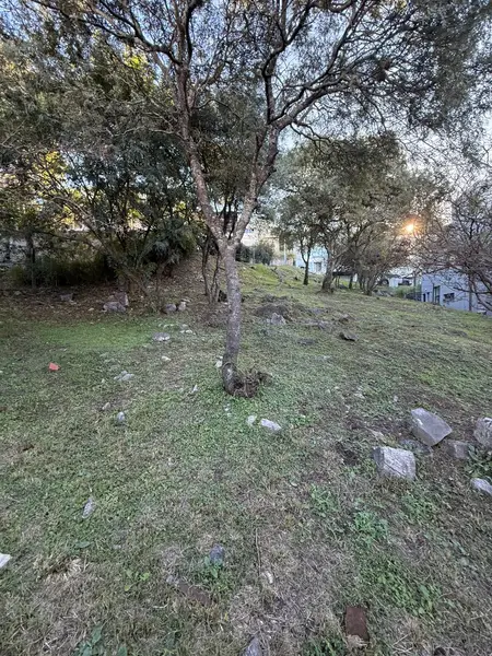 terrazasAdrian4.jpg