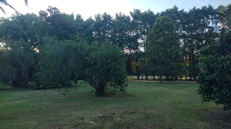 Foto 30