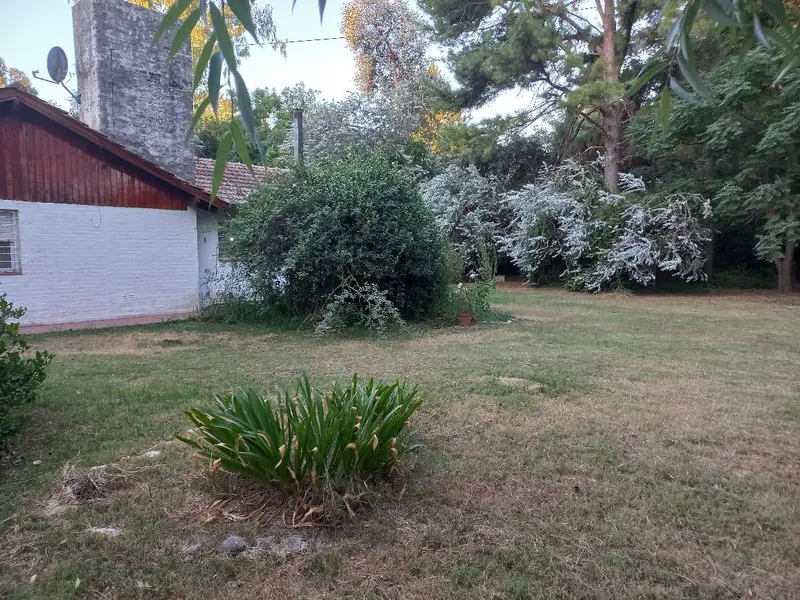 Foto 25
