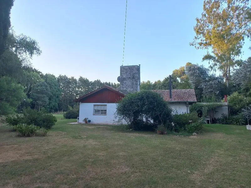 Foto 27