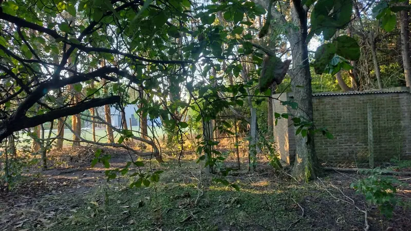 Foto 7