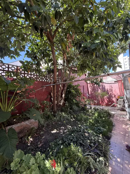 Foto 19