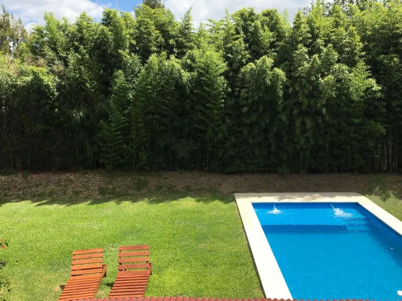 Foto 19