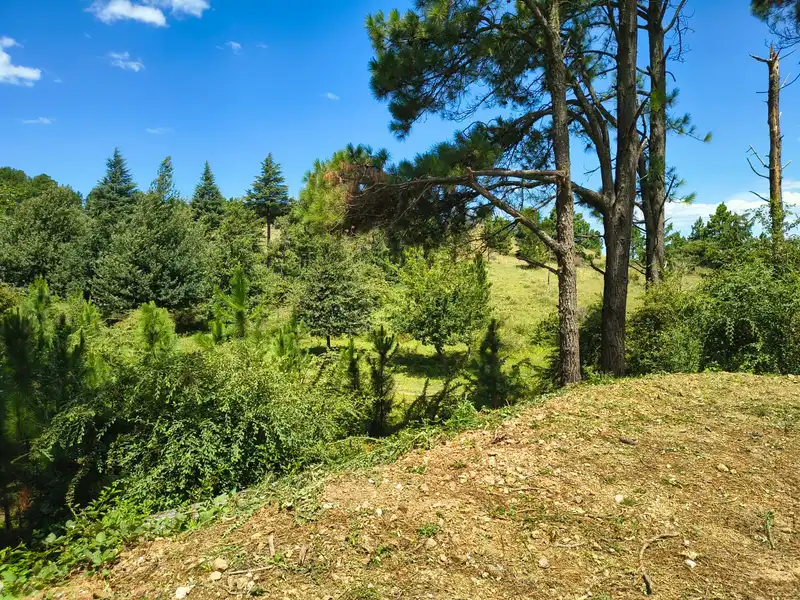 loteVaBerna26.jpg