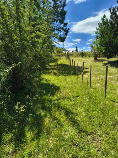 loteVaBerna22.jpg