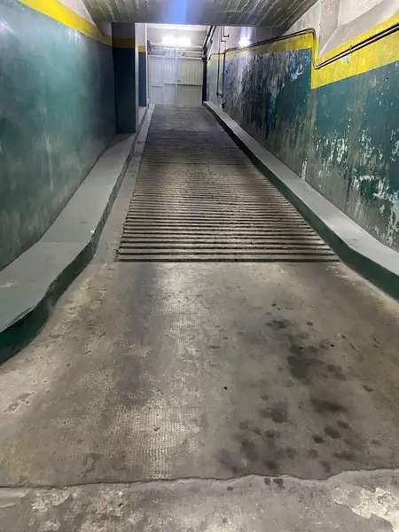Foto 45