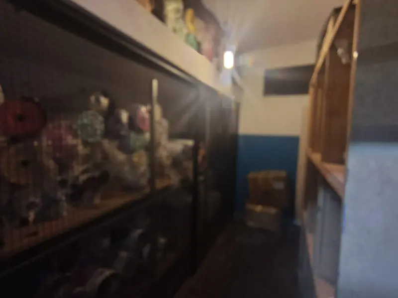 Foto 7