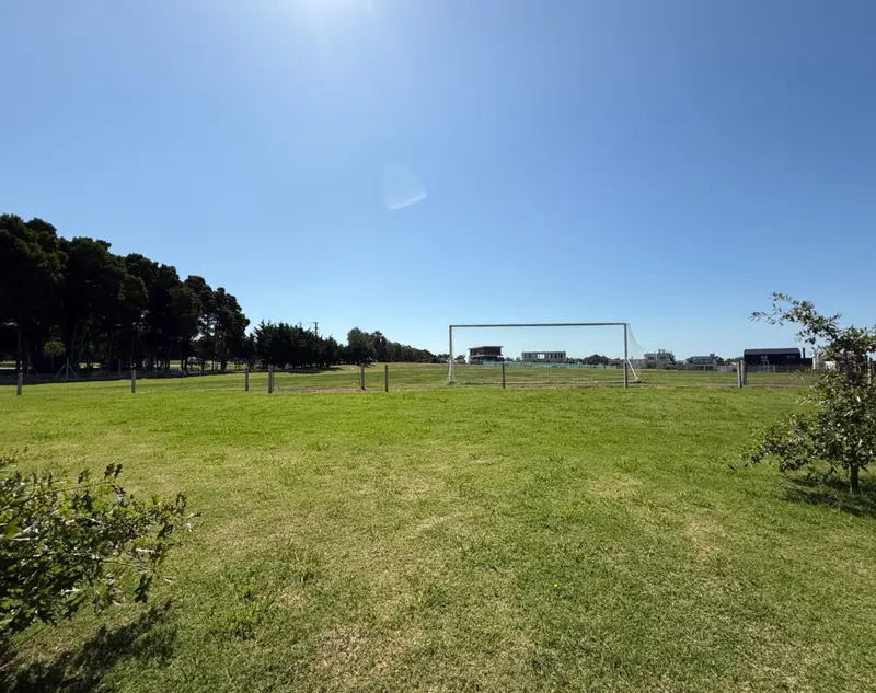 Captura de pantalla 2026-02-25 164216.png